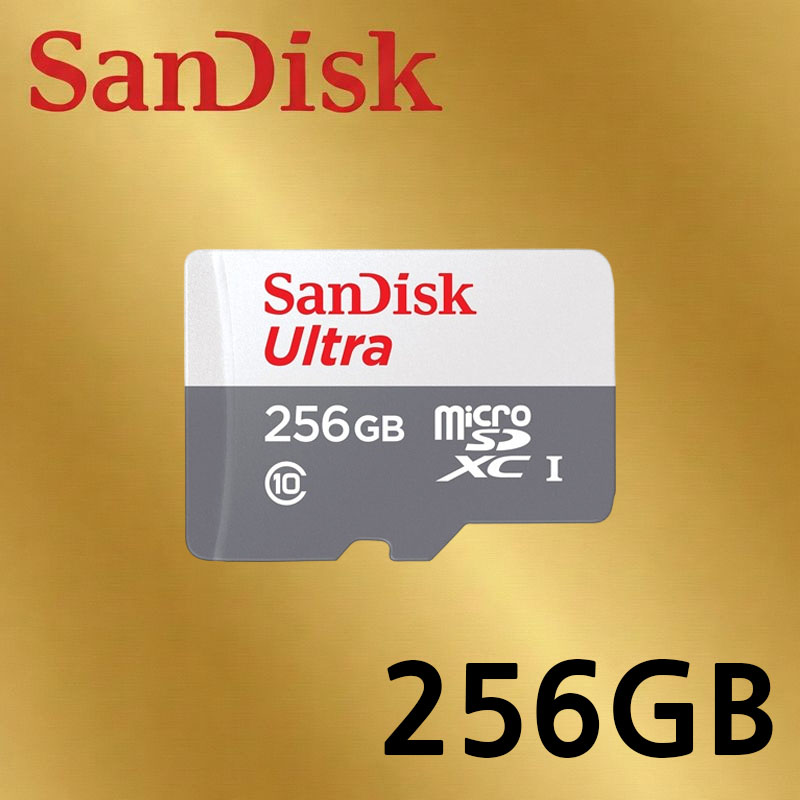 티피링크 Tapo C210 C200 C320WS C310 C225 C110 C110 C500 C510W C520WS VIGI 홈캠 CCTV 녹화용 메모리카드 Micro SD카드 62,900원