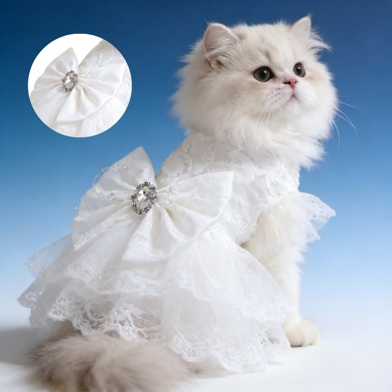 화이트 레이스 펫 웨딩 드레스, 고양이 강아지 결혼식 촬영 의상 세트 21,000원