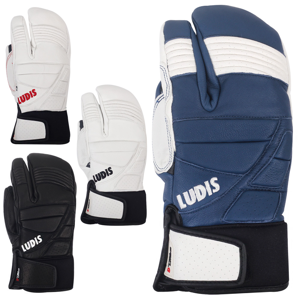 루디스 스키장갑 DOWN HILL G 22 다운힐 보드 글러브, 루디스DOWNHILL-G 22, 1개 72,450원