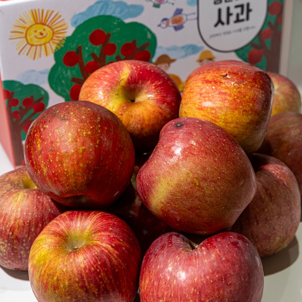 건강을 담은 장군이네 경북 청송 가정용 선물용 꿀사과 흠과 41,900원