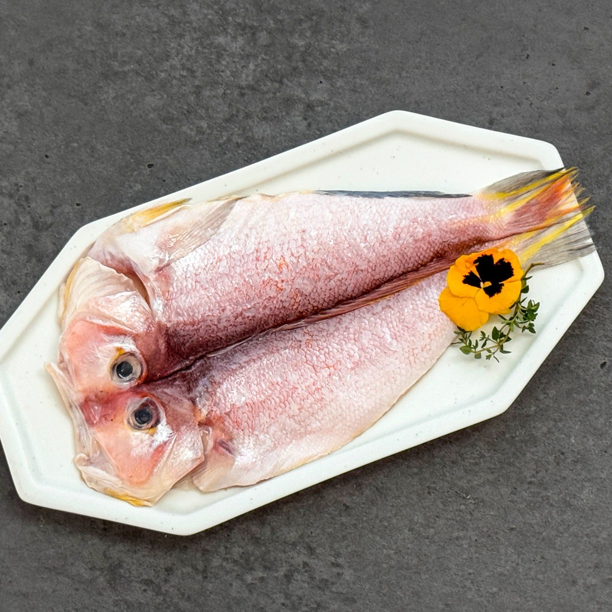 제주 안동수산 반건조 참옥돔1kg 5마리  중량 (160g~220g) 74,000원