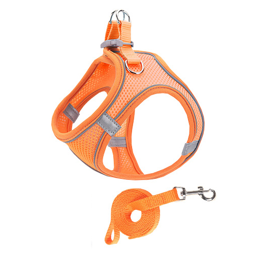 치타샾 강아지 고양이 빛반사 하네스세트 6,200원