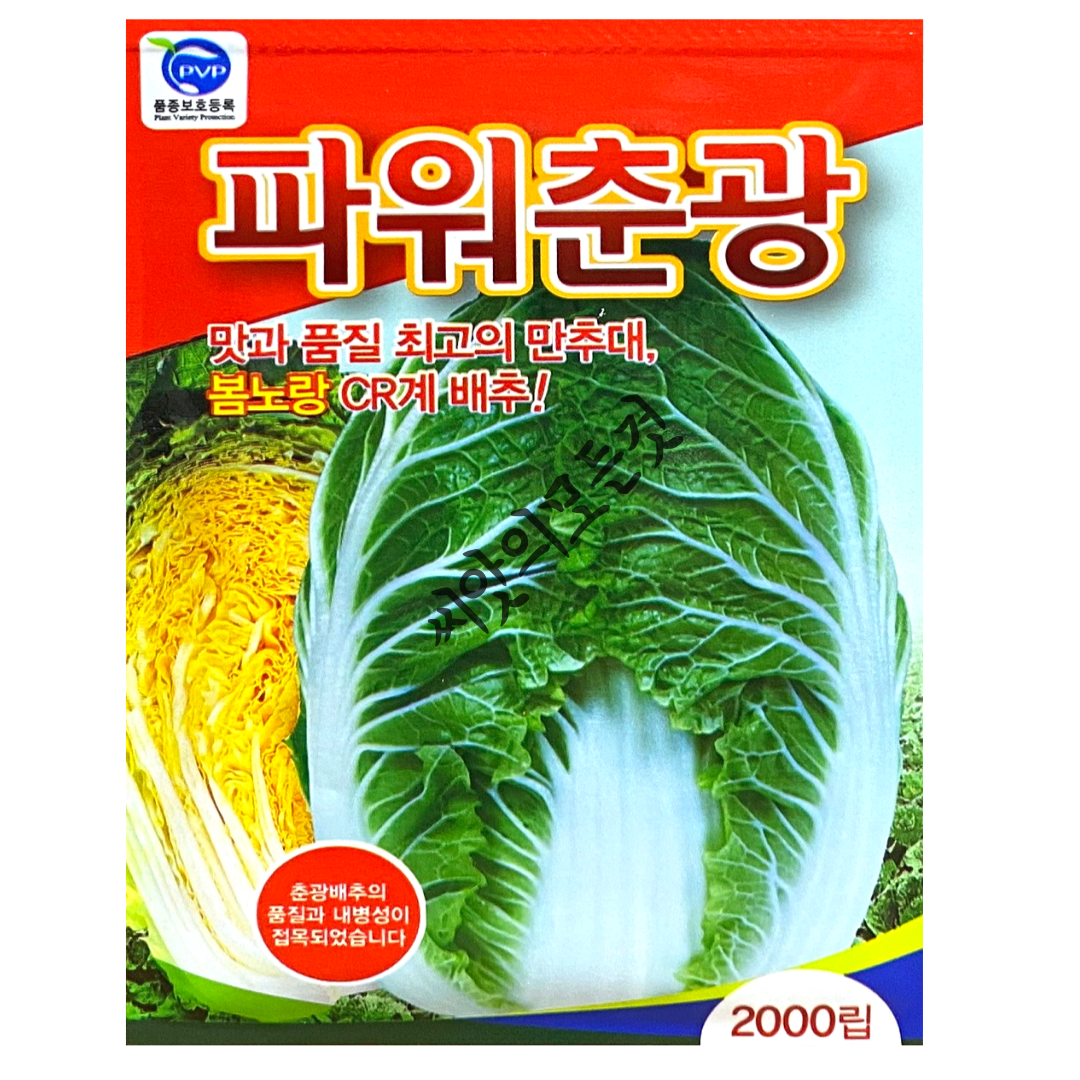 파워춘광 배추씨앗 2000립 CR계 봄배추종자 사카타코리아 33,000원