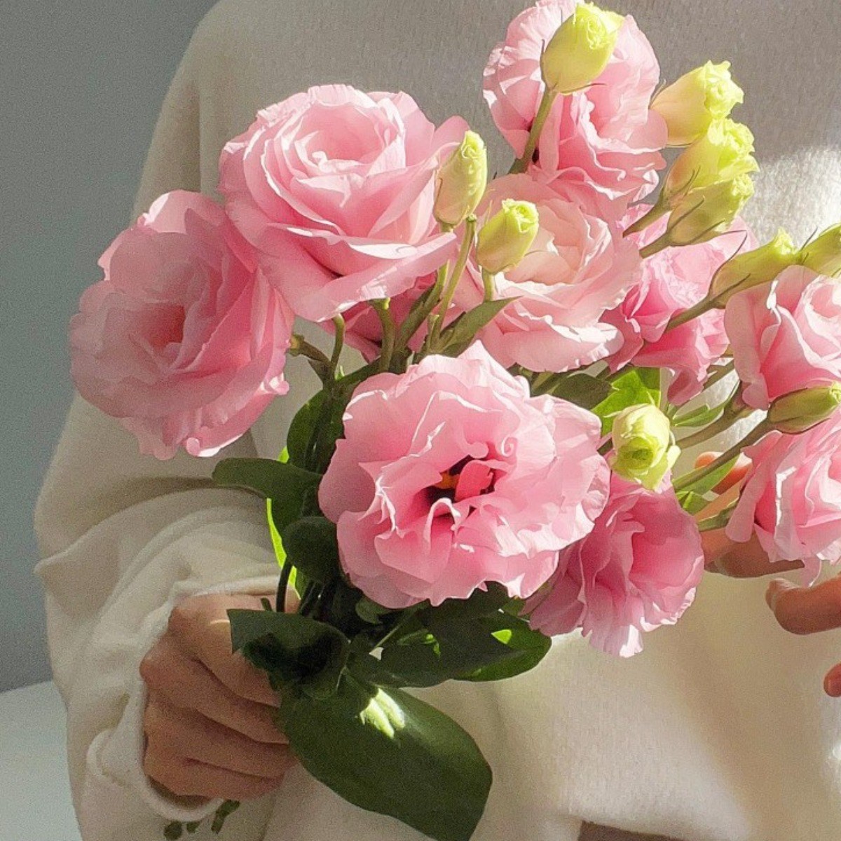 [정아네식탁] 리시안셔스 무드 한다발, 꽃다발 생화 택배 꽃배달싼곳, 핑크빛 반단, 1개 14,000원