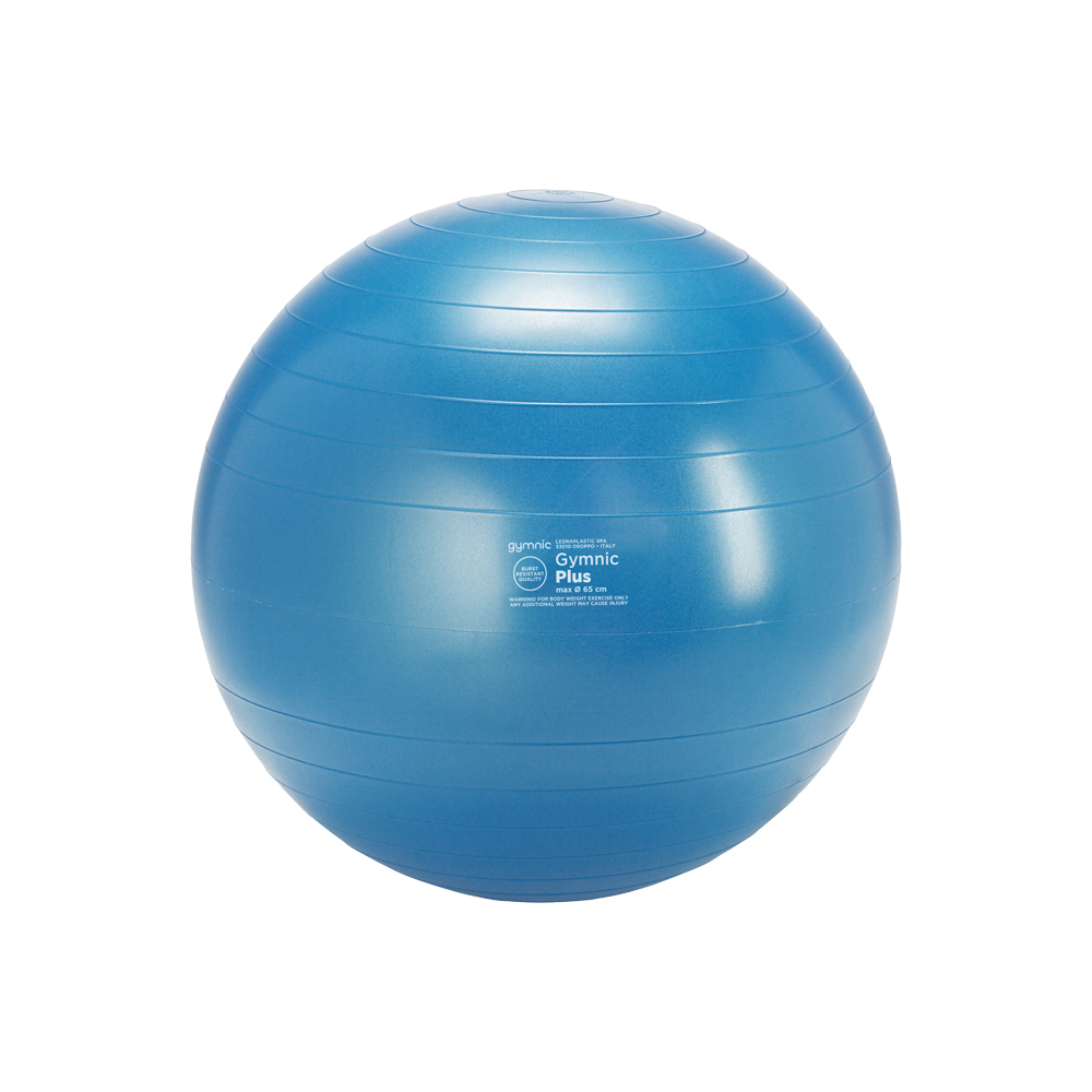 짐닉 플러스 짐볼, 블루 44,100원