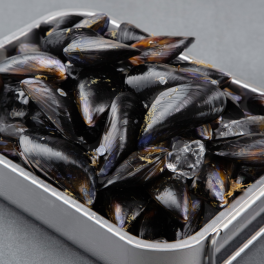 바다자리 국산 생물 홍합 11,990원