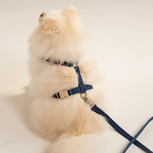 힛찌 목버클 강아지 하네스, 딥네이비, 1개 22,310원