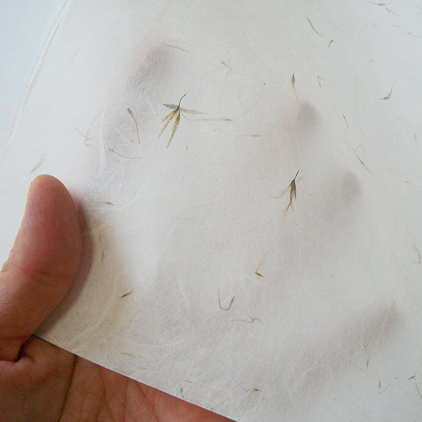 구름한지 자연운용지 소발 63cm x 93cm 5매 선물포장 인테리어 벽지, 갈대꽃, 5매 8,310원