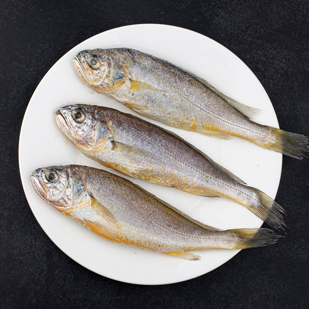 국내산 참조기 370미 내외 (10석) 228,000원