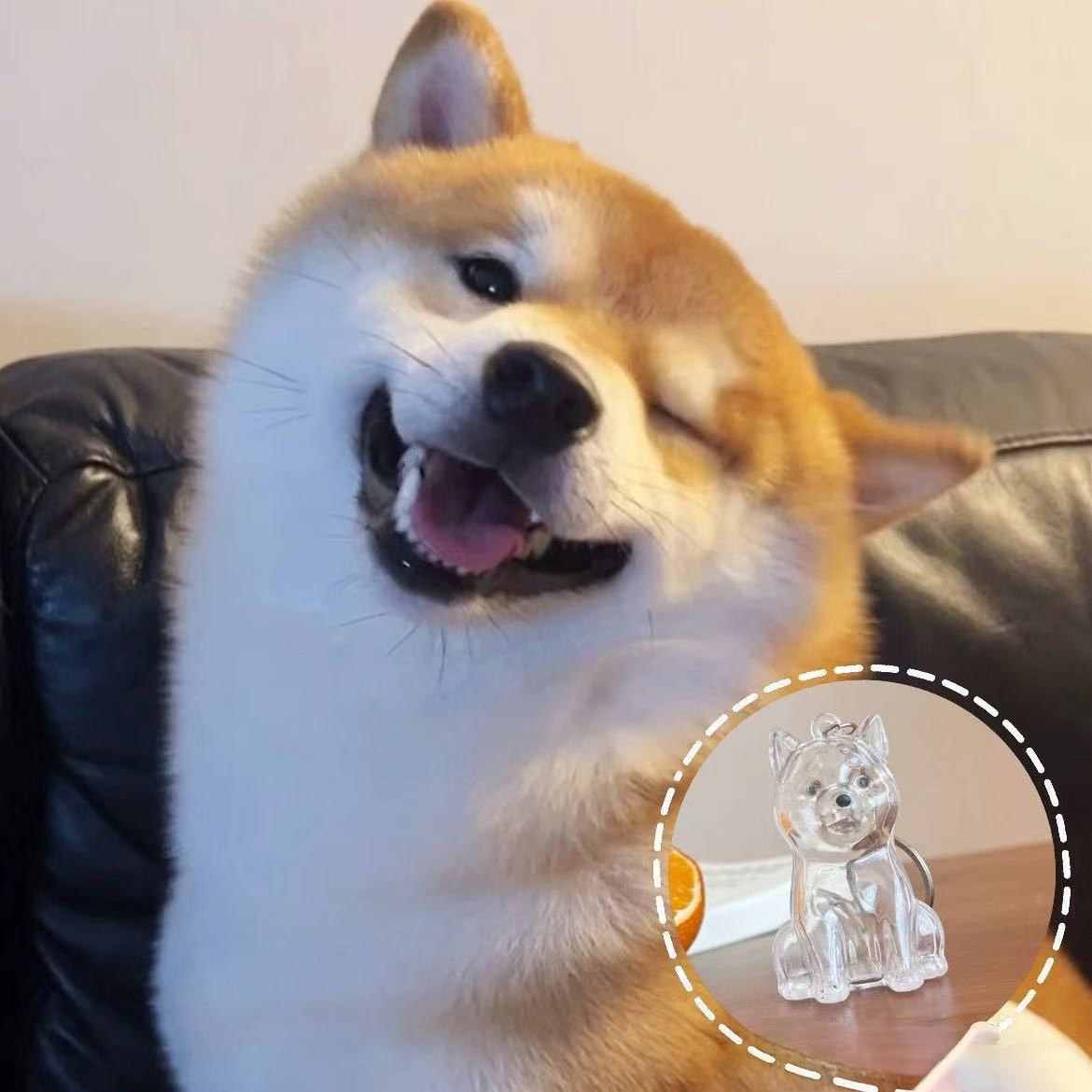 웨버몰 반려동물 털 보관 키링 4,900원