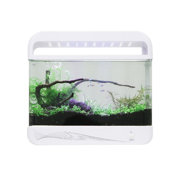 아마존 LED 일체형어항 [AMZ-2000A] 측면여과형 [38cm], 1개, 현재가 70,000원