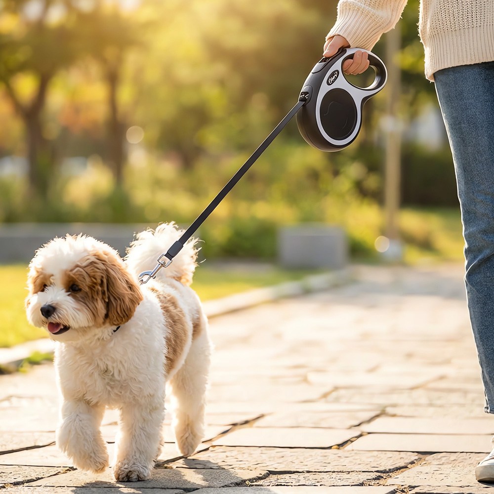 Jeernare 3M 5M 튼튼한 강아지 자동리드줄 꼬임방지 강아지 산책줄 길이조절 강아지줄 개줄 9,990원