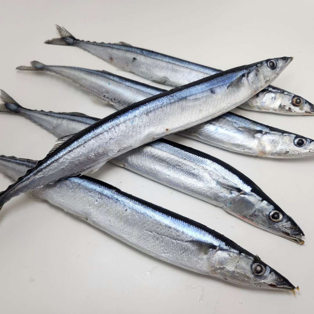 수산잇츠 냉동 꽁치 5미, 1개, 400g 9,400원