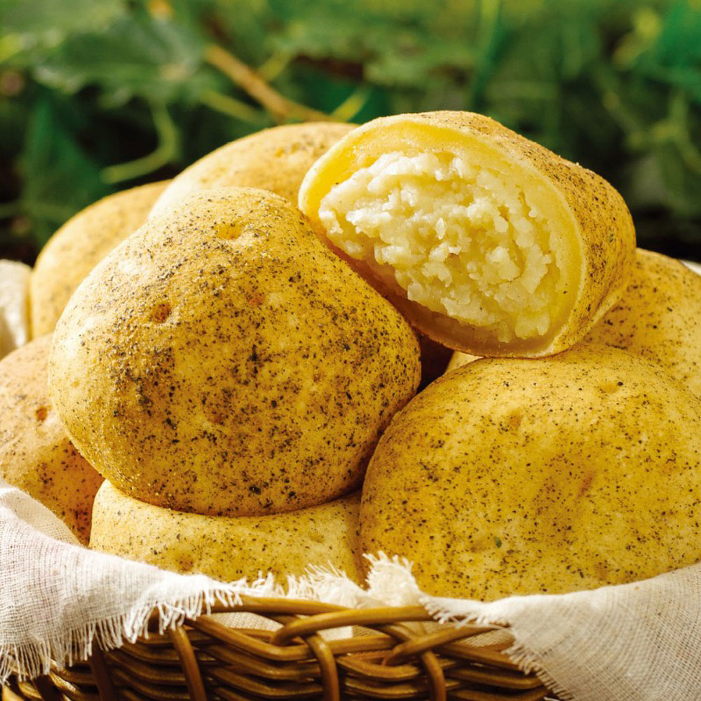 새마원 진짜 감자빵 (90g 15입) 구황작물빵, 1.35kg, 1개 22,580원