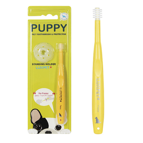 [메가텐 럭스펫] 어린 반려견 강아지칫솔 1p (목찔림방지겸 손가락 프로텍터 포함), 1세트, 현재가 3,100원