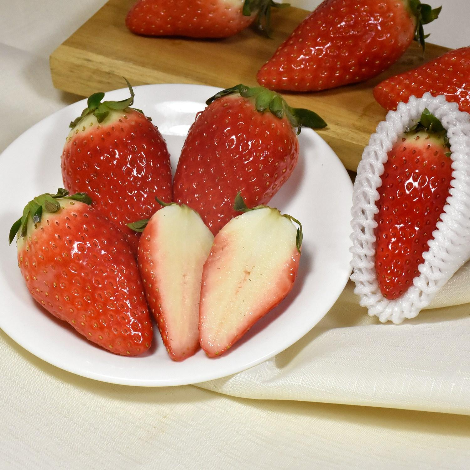 [오픈초특가] 논산 킹스베리 산지직송 달달딸기 품질좋은 겨울철 왕 딸기 고당도 39,900원