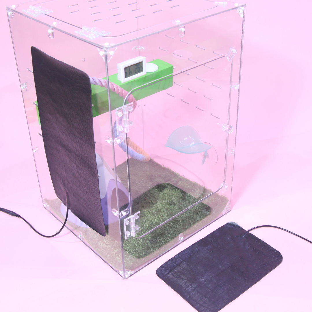 파충류 전기장판 도마뱀 필름히터 온열 패드 매트 17,700원