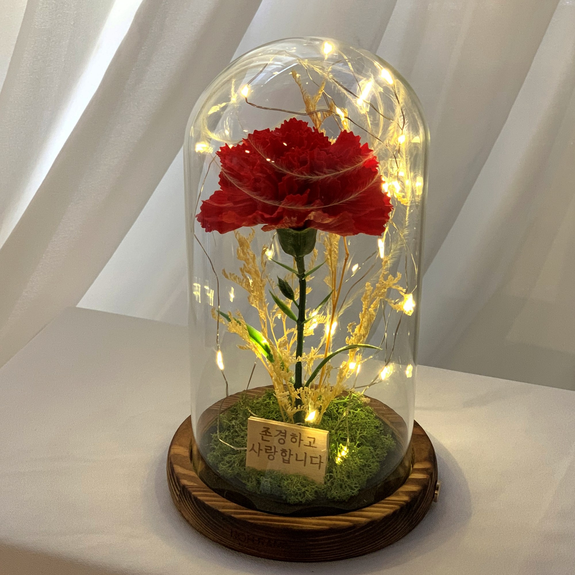 로랑 BIG 카네이션 유리돔 무드등 어버이날 스승의날 부모님 비누꽃 한송이 선물 26,900원