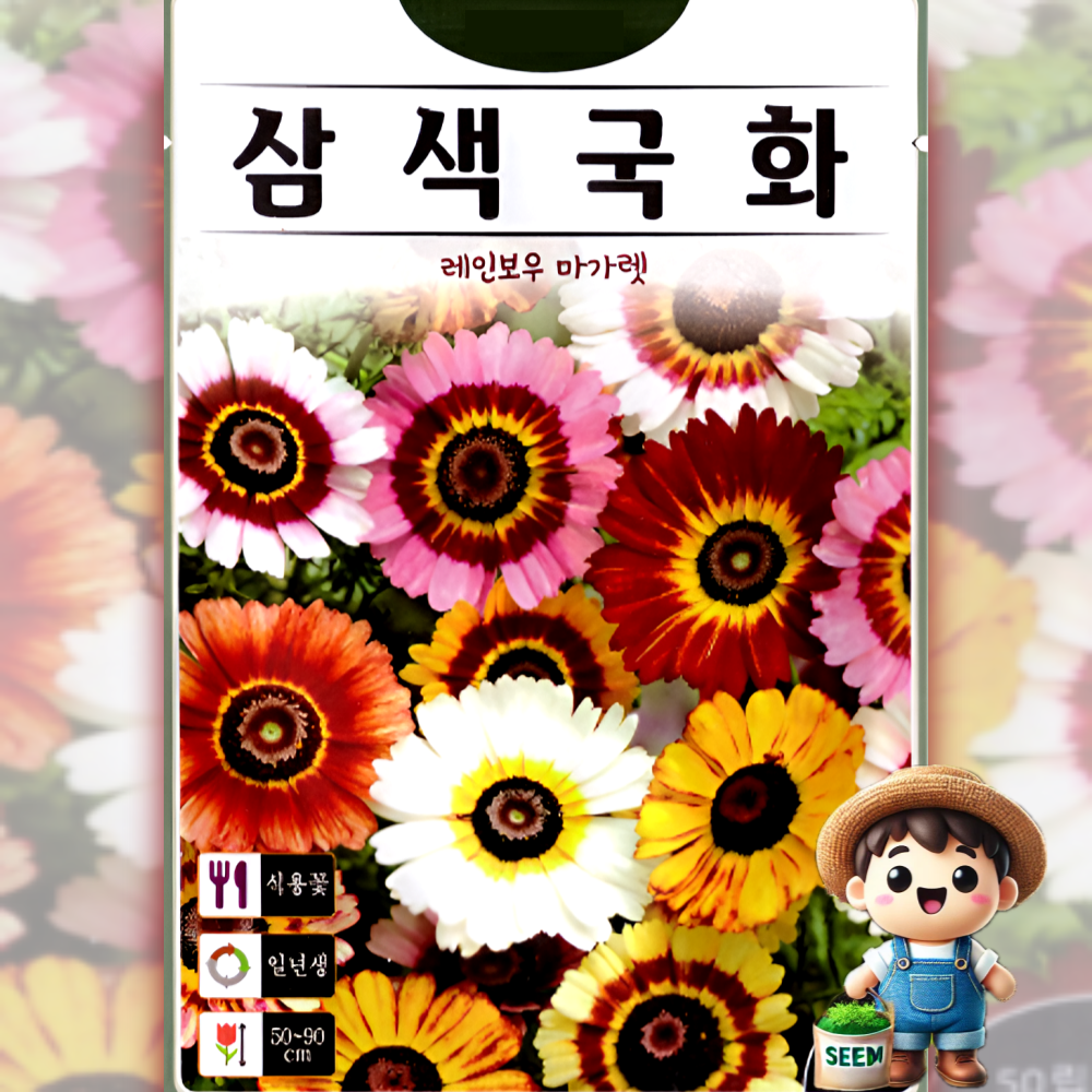 KS종묘 삼색국화 50립 레인보우 마가렛 일년생 식용꽃 허브 꽃씨 씨앗 종자 2,990원