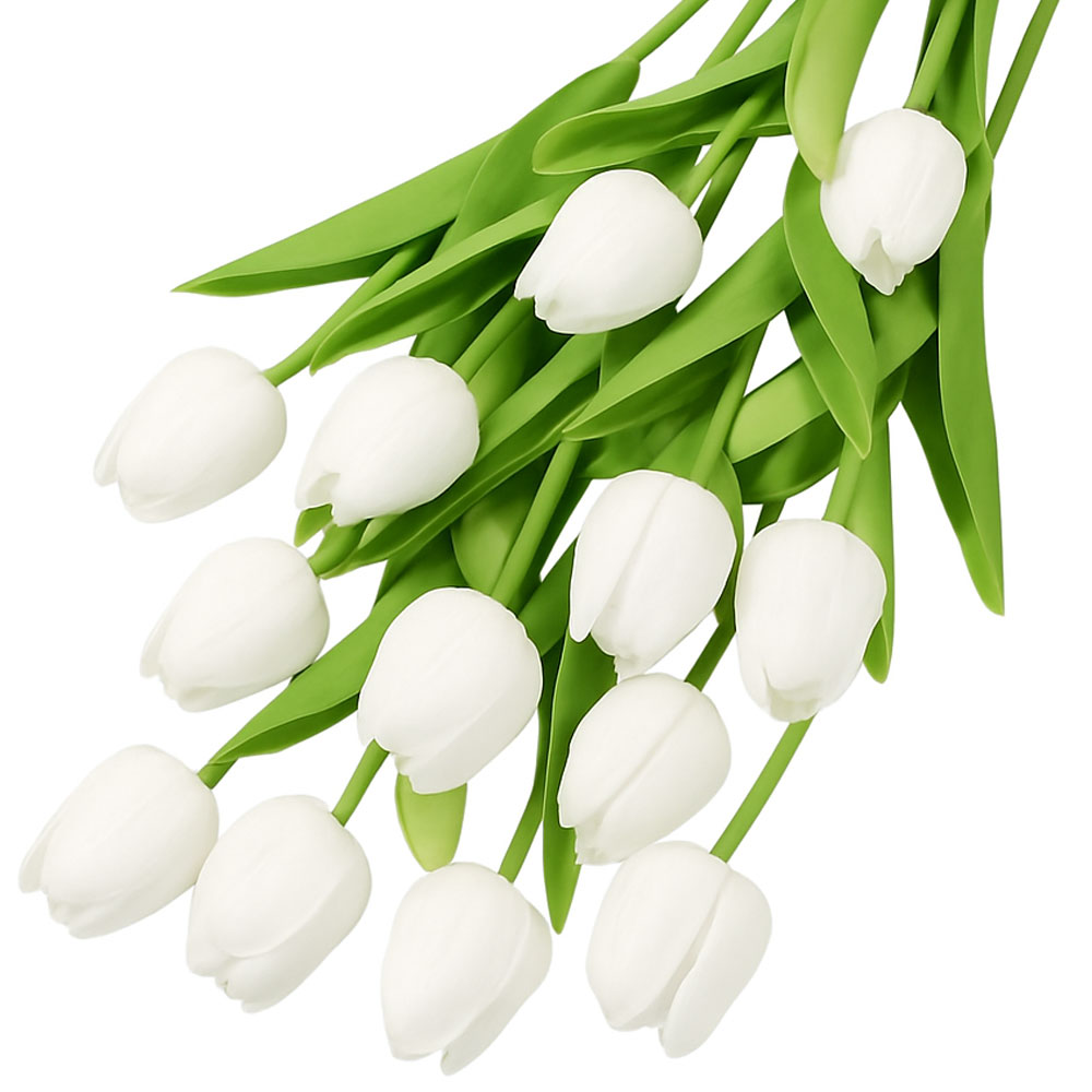 레디박스 감성 조화 튤립 10송이 꽃다발, 화이트, 1개 8,900원