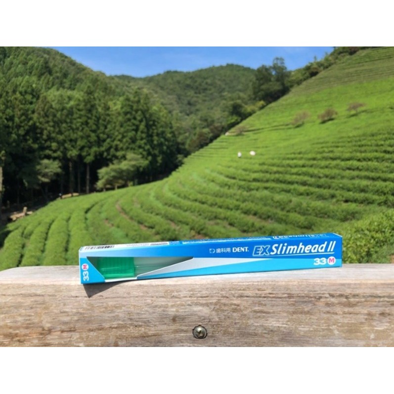 라이온칫솔 (12세 청소년 성인여성 남성 시니어 모음), 1개 4,500원