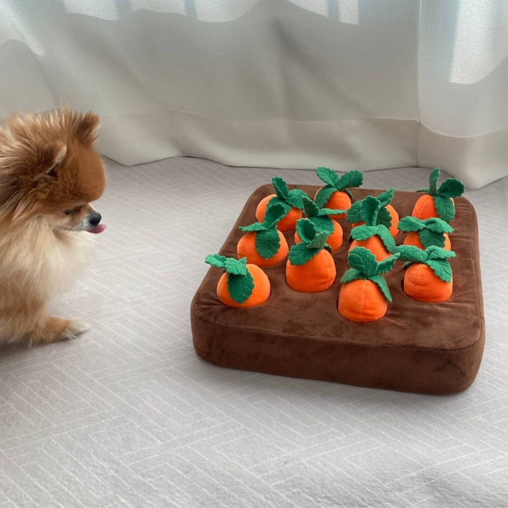 디아쿠아 애견 당근 뽑기 노즈워크 강아지 장난감, 1개 16,390원