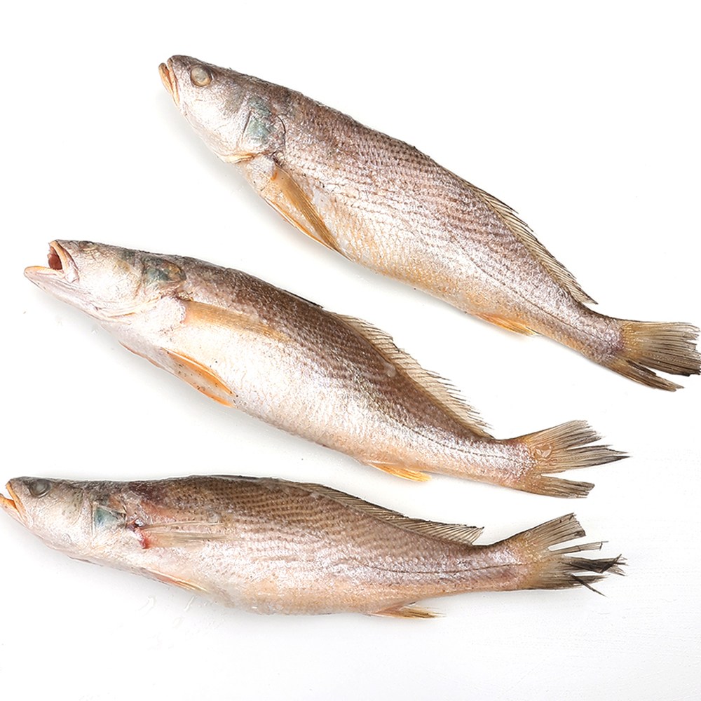 자갈치닷컴 민어조기(몽실이) 4P 29~31cm전후 48마리전후, 1박스, 4P 29~31cm전후 48마리전후 275,000원