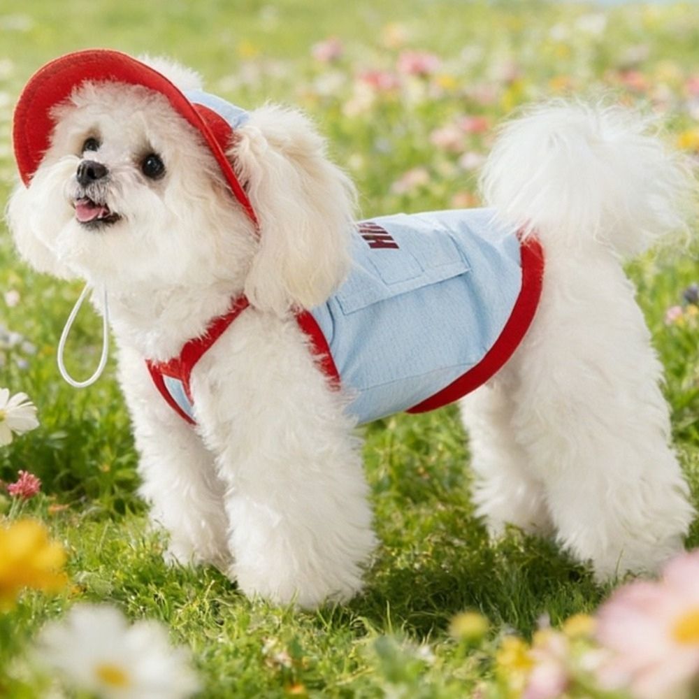 Tinduo 강아지 하네스 모자 세트 이탈방지 시원한 옷 고양이 봄여름 옷, 푸른 색, 1개 19,810원