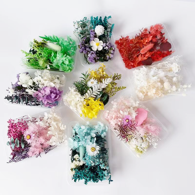 드라이플라워 모음 박스 50여종 프리저브드 5,800원