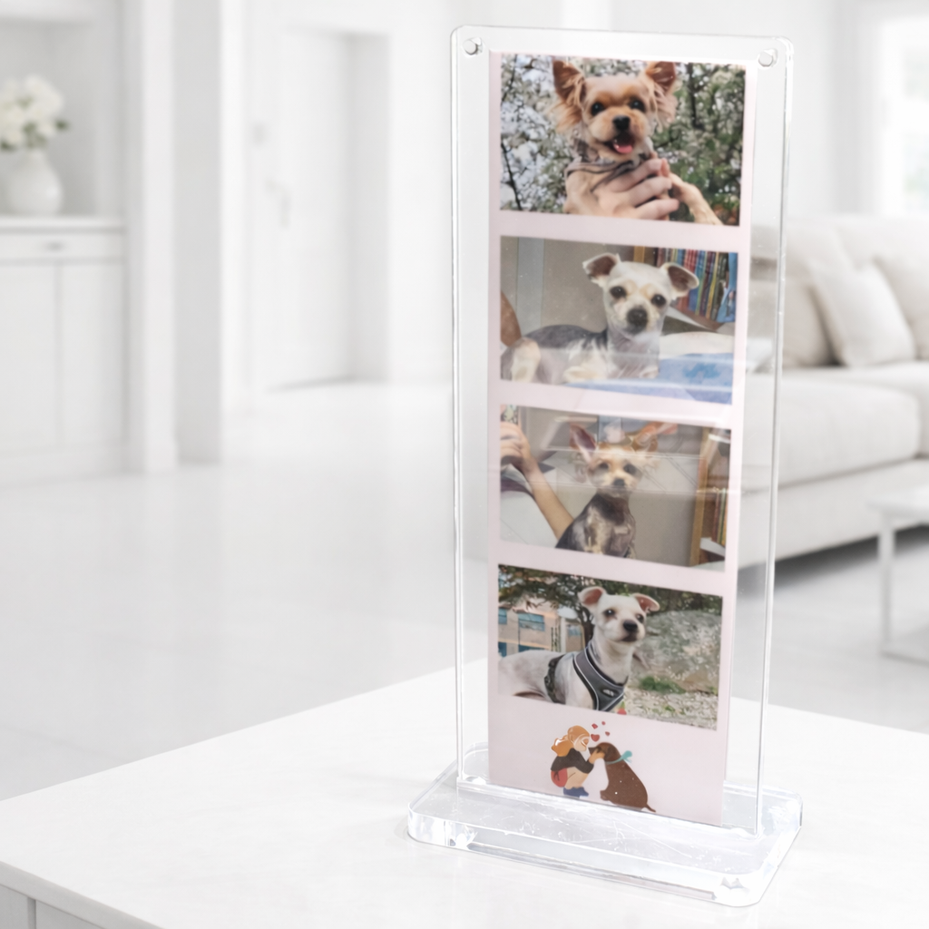 몽이아 2x6 투명 아크릴 자석 냉장고 스탠드 사진 액자 인생네컷 포토이즘 납골당 10,200원