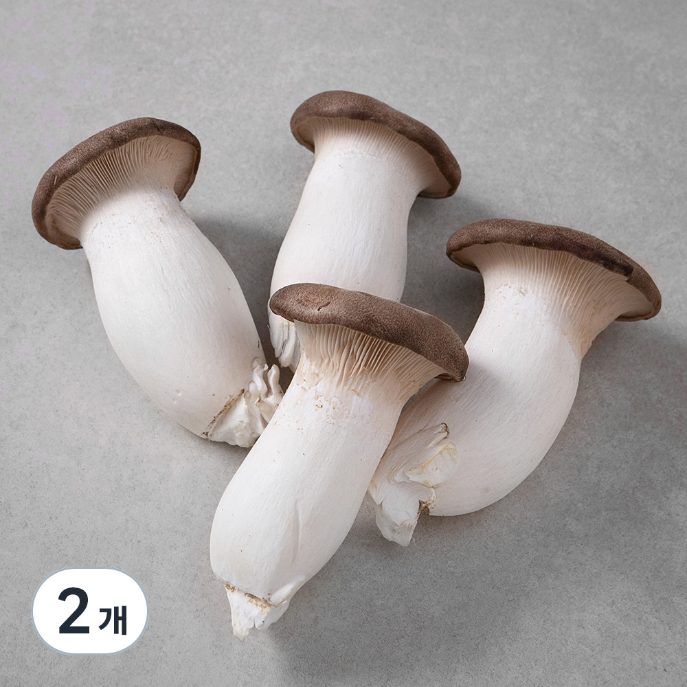 친환경 새송이버섯 3,760원