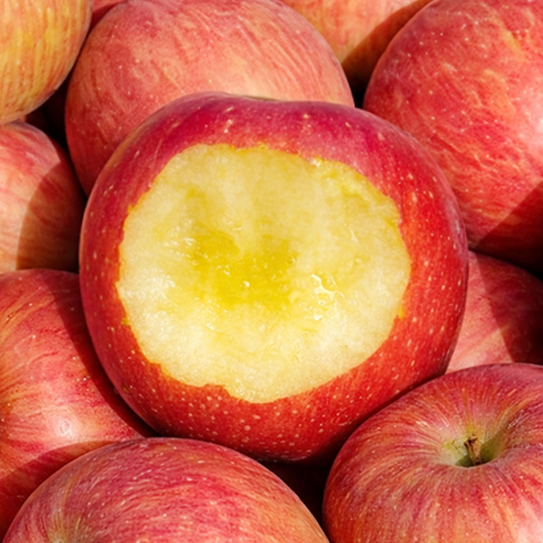 [재구매1위]매일먹는 부사사과 신선 경북 고당도 산지직송 아삭달콤, 1박스, 대과2kg 28,900원