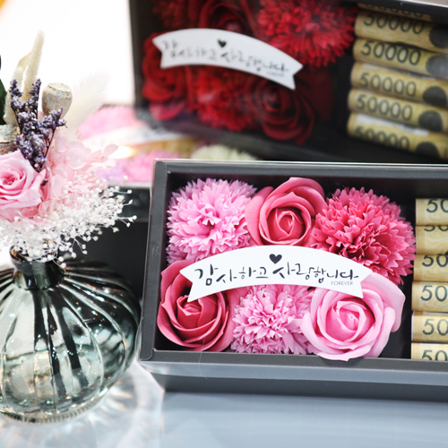 도시정원 카네이션 용돈박스 8,240원