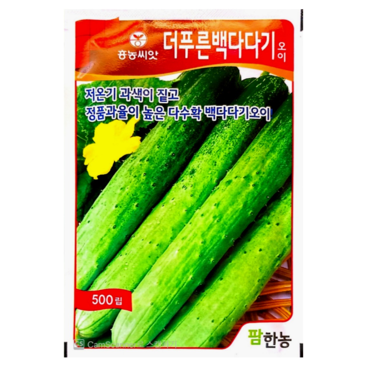 더푸른백다다기오이씨앗 500립 [26년포장] 백다다기오이, 1개 69,000원