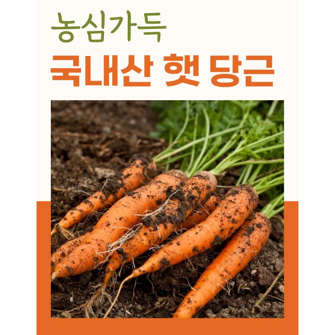 농심가득 국내산 흙 당근 2kg,3kg,5kg,10kg 24,100원