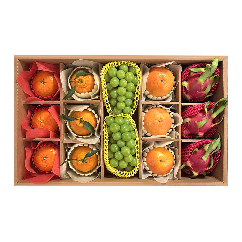 [이푸른] 프리미엄 혼합 과일 선물세트 5호(한라봉3과+레드향3과+샤인머스캣2송이+자몽3과+용과3과) 119,000원