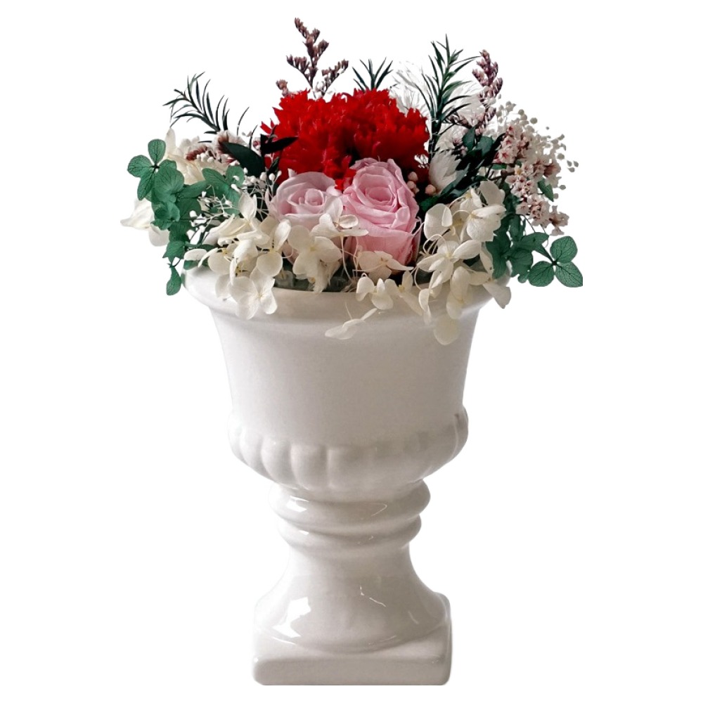 morningscent 시들지 않는 프리저브드 DIY 카네이션 센터피스 16,900원