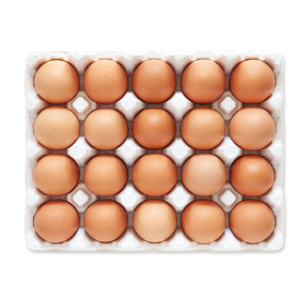 알참참 신선한 초란 8,300원