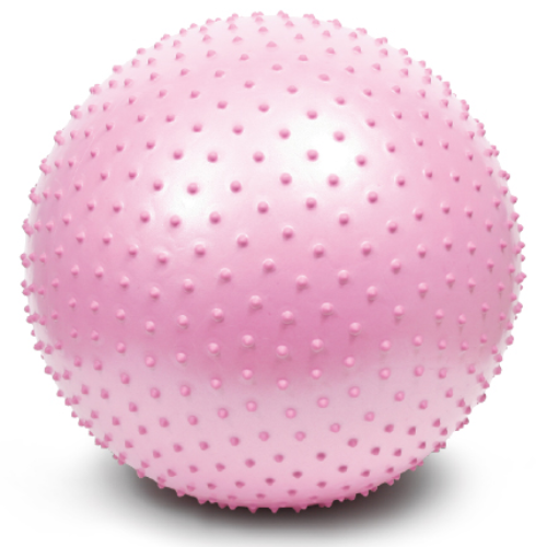 에코리즈 안티버스트 짐볼, 마사지 핑크 13,800원