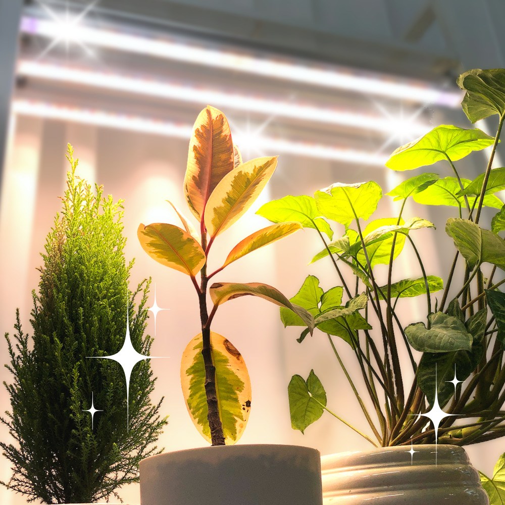 식물전파사 꿀빠 딥그린 식물등 식물조명 선반 밑 많은 화분 led식물등 세트 80,900원