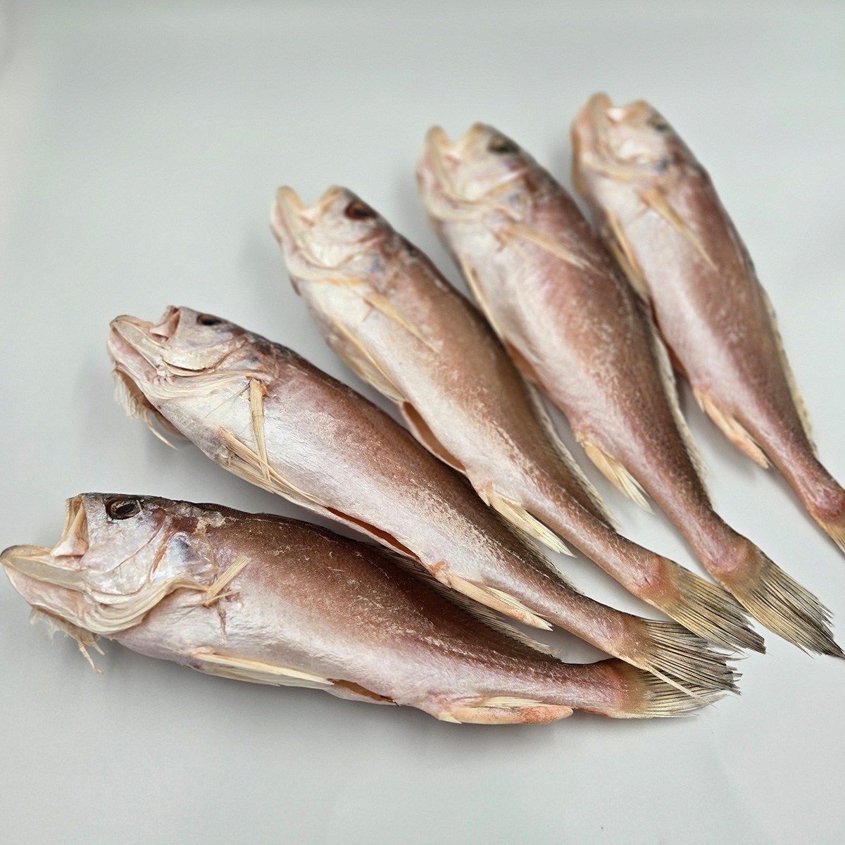 구포시장 부자생 선본점 반건조 반찬용 저염 부드러운 침조기 구이용 찜용 27cm,30cm 5마리 65,000원