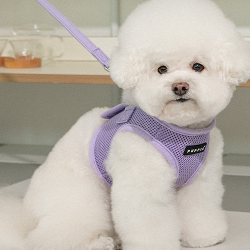 퍼피아 강아지 소프트 베스트 하네스 바이올렛색상 목줄 AH305 소형견애서 대형견까지 쪼끼스타일, 바이올렛, 1개 26,000원