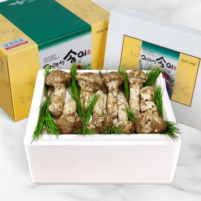 소중한만큼 고마운선물 강원 양양 자연산 송이 버섯 484,000원