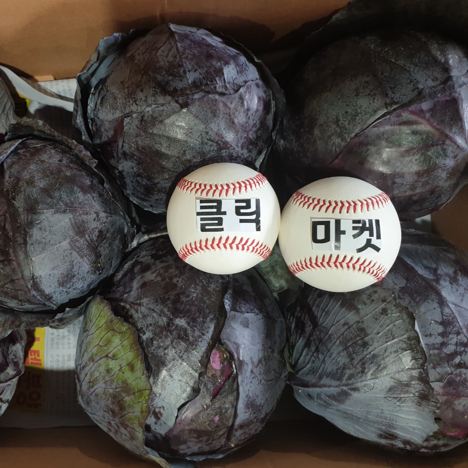 클릭마켓 적채 적양배추 샐러드야채 샐러드채소 용 8kg내외, 1개 19,000원