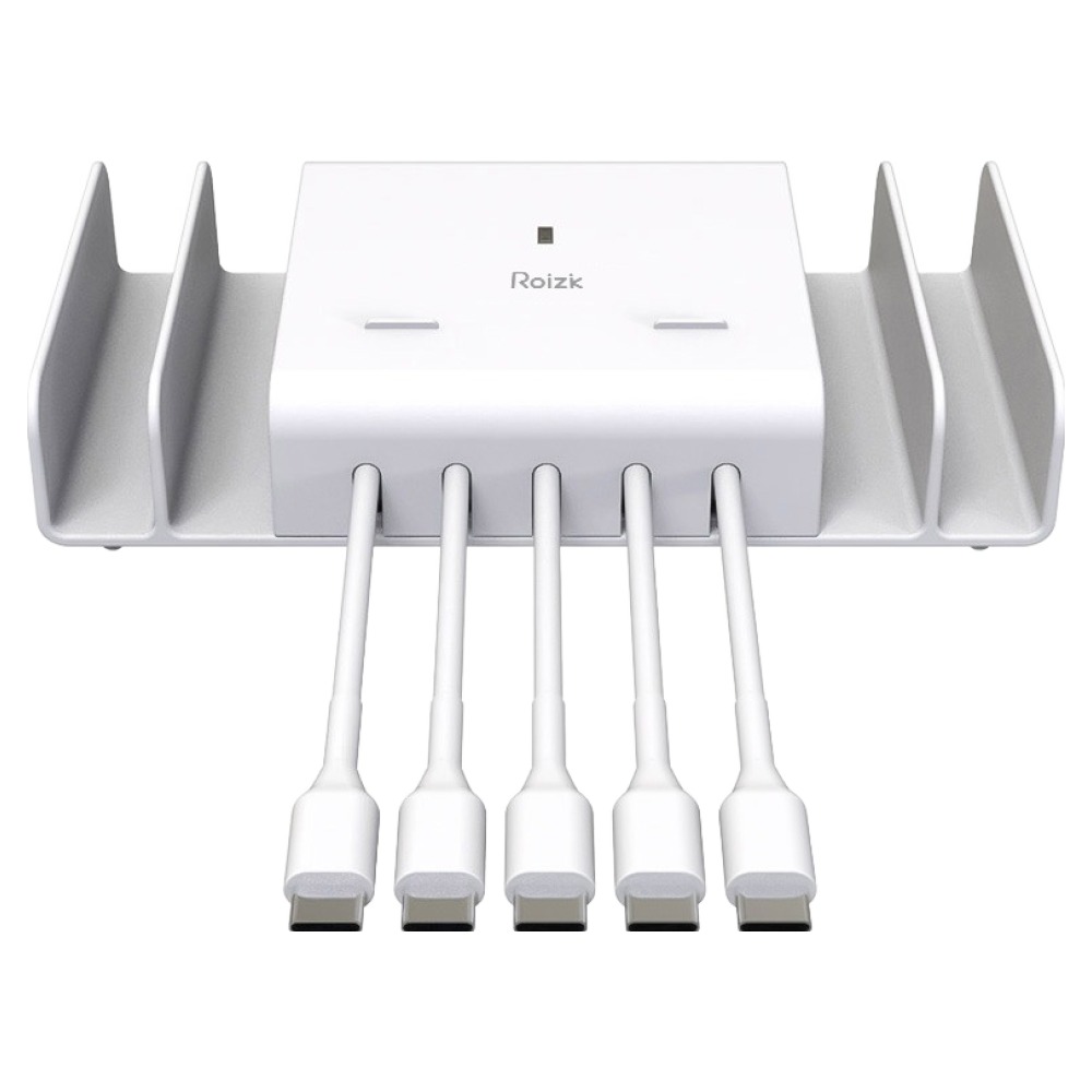 로이직 5포트 고속 멀티충전기 C타입, 화이트, 1세트 39,800원