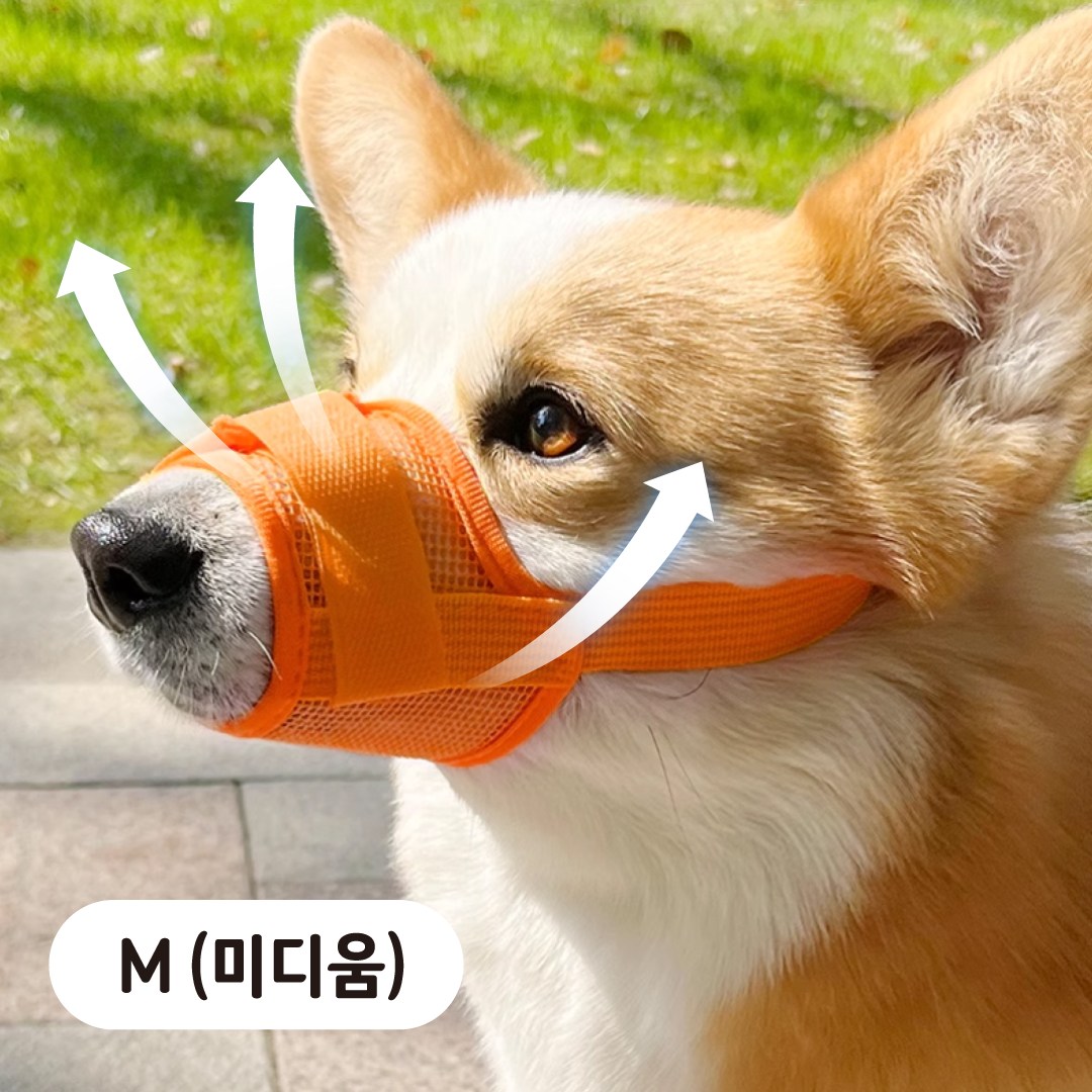 러뷰펫 소형견 중형견 편안한 메쉬 입마개 M 11,620원