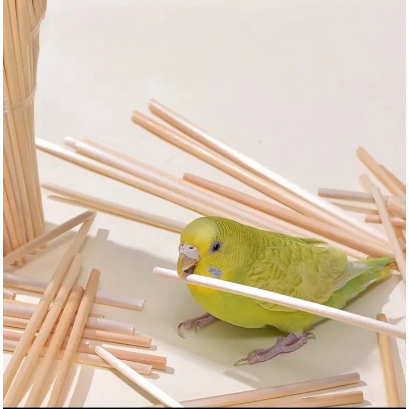 신나서상사 천연 밀짚 앵무새 장난감, 1세트 7,900원