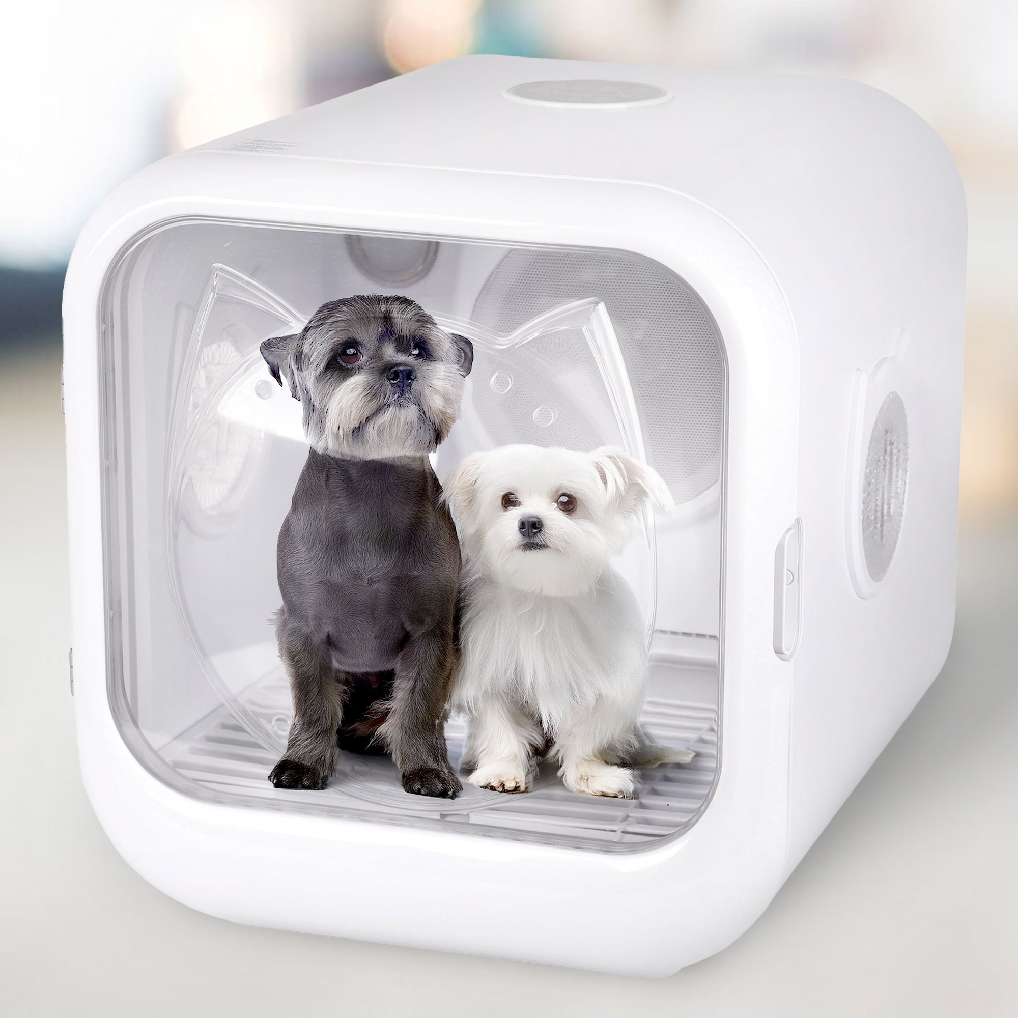 마이티펫 펫 드라이룸 털 건조기 199,000원