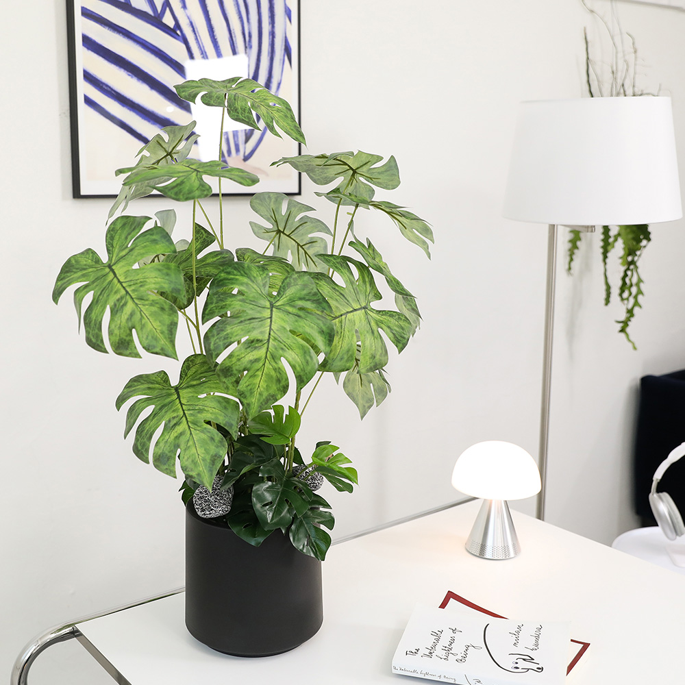 조아트 인테리어 조화나무 몬스테라 리얼그린 + 모형돌 2p + 화분 세트, 혼합색상(조화), 랜덤발송(화분, 모형돌), 1세트 35,900원