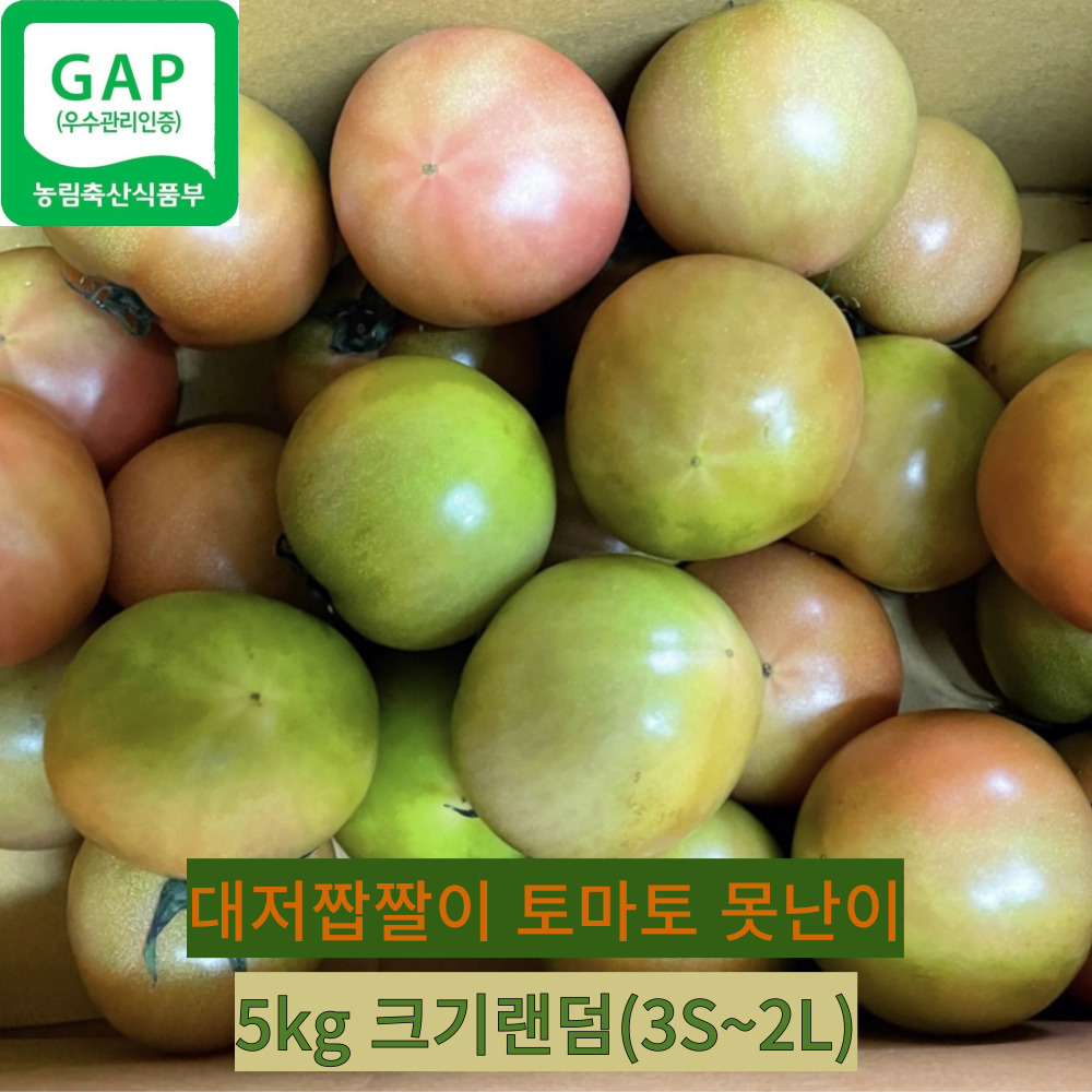 [대저당일출고] 대저 토마토 부산대저농협인증 오리지말 짭짤이 2.5KG 5kg 40,600원